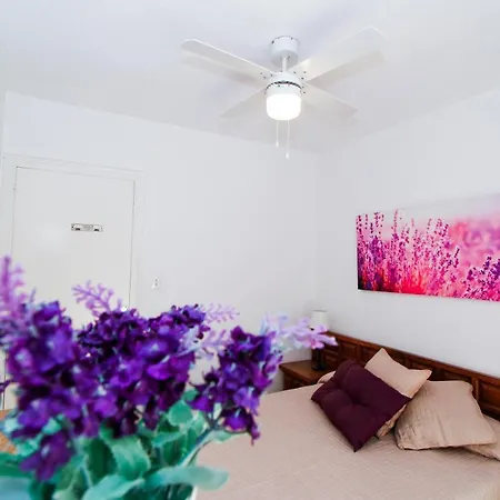 Apartment Cye 5 Homestay By Turismar La Pineda